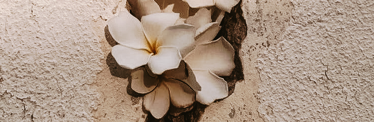 - حزَن♫̴. tweet media