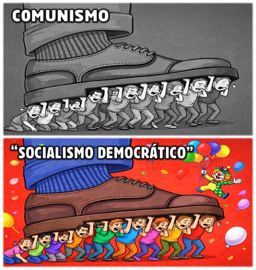 ManuelnelsonP's tweet photo. @pfigueiredo08 https://t.co/tSi2A7L1JF