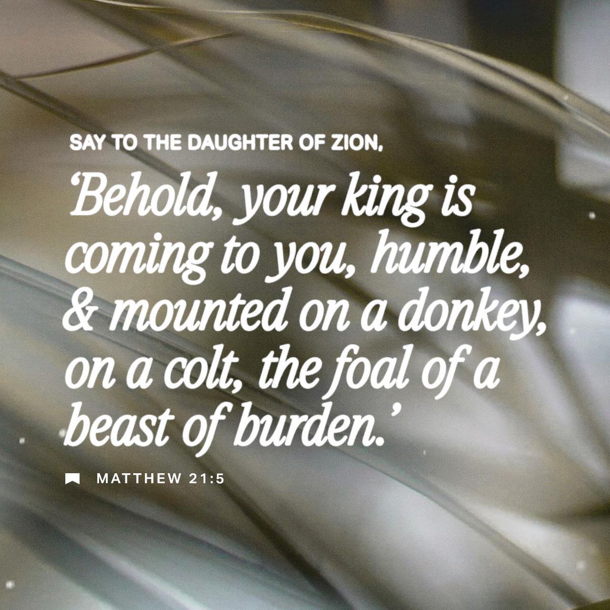 LdnMissionCollective tweet media