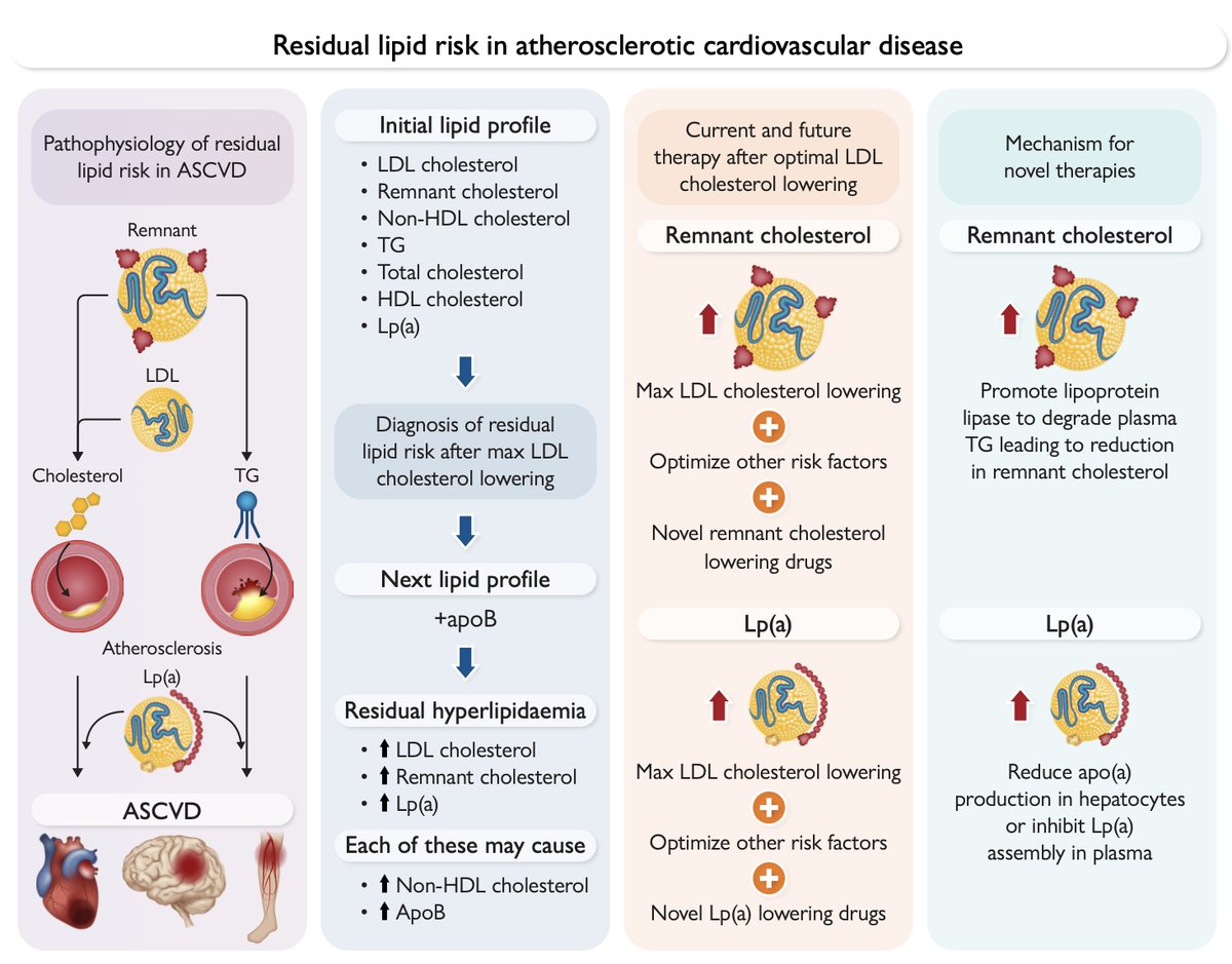 drpablocorral's tweet image. 👉 Residual lipid risk in atherosclerotic cardiovascular disease
🙌 MUST READ

1️⃣ Why this matters (still underestimated):
Even with optimal LDL-C lowering → residual lipid risk persists.
Explains recurrent ASCVD despite “guideline-at-goal” LDL.

2️⃣ Three causal lipid players