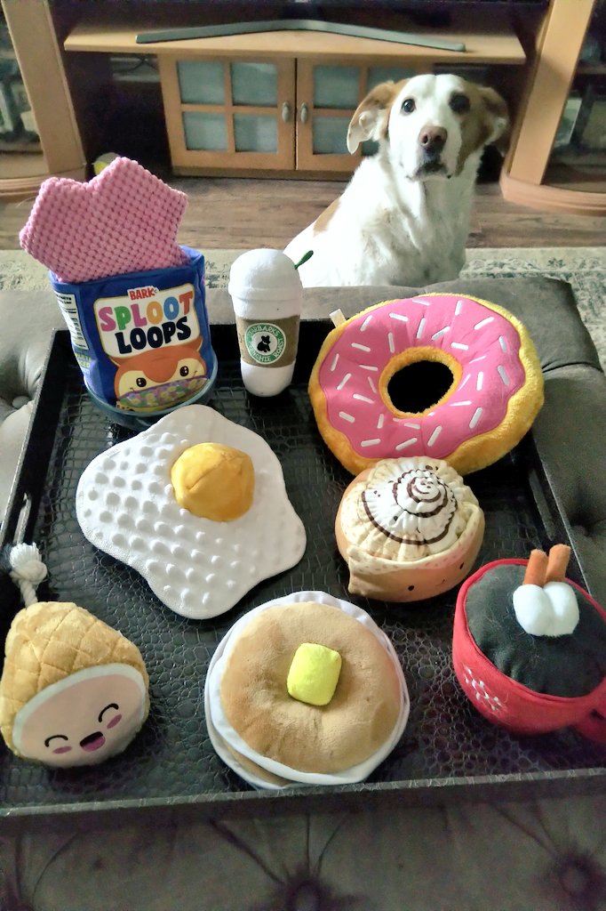 CanadianPenny1's tweet image. She was big on breakfast foods. The squeaky kind 🍩🍳🥞🍖☕️

#CanadianPenny #ThrowbackThursday