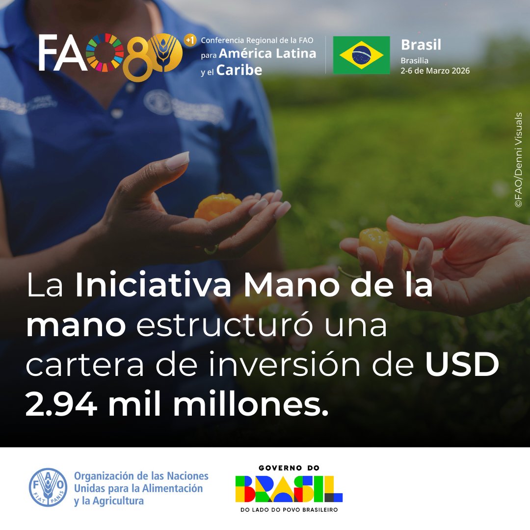 En la #ConferenciaFAOAméricas, los Estados definirán las áreas prioritarias para fortalecer la inversión y el desarrollo territorial sostenible.

La Iniciativa #Manodelamano es clave en esta transformación.

📆2-6 de marzo

¡Sé parte del cambio! ➡️fao.org/events/detail/…

#LARC39