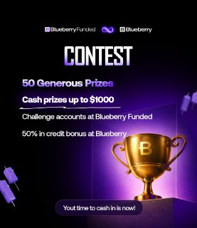 Blueberry Funded tweet media