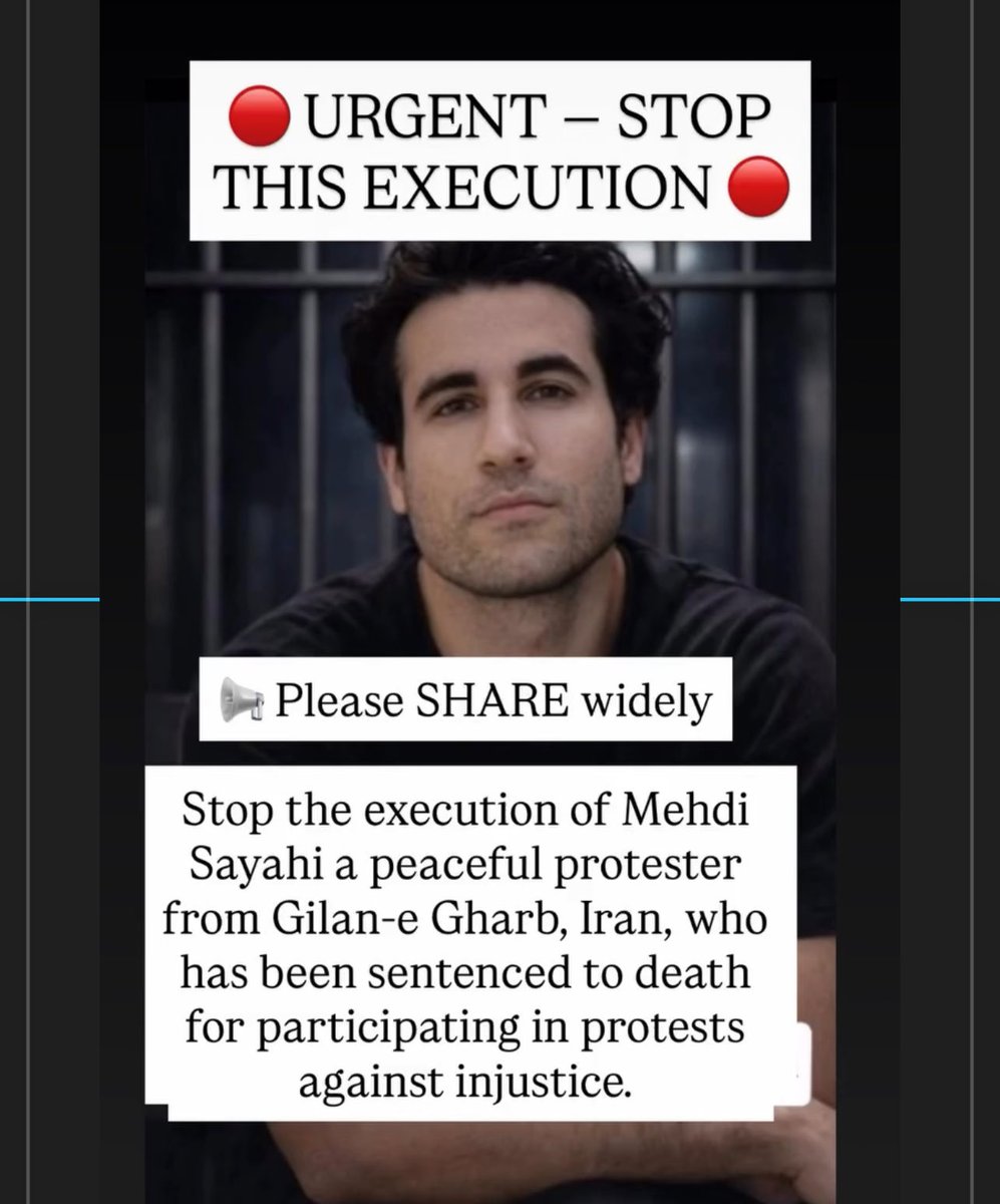 Liza Rosen (@lizarosen0000) on Twitter photo 