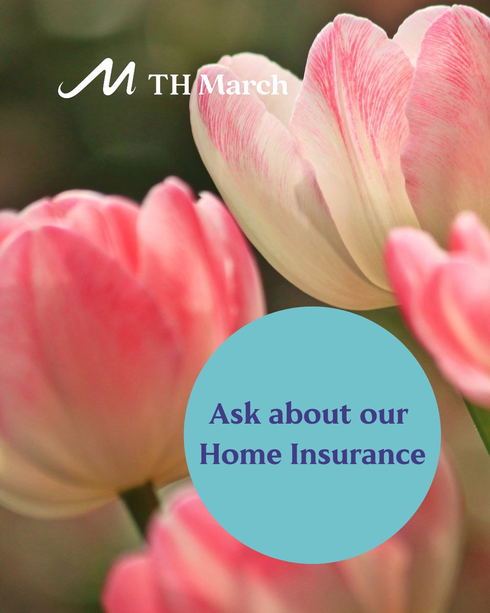 THMarchBiz's tweet image. All garden lovers can benefit from getting Home Insurance with TH March. 🪴  Talk to your advisor to discuss cover for contents in your garden and gardening equipment. Enquire today at eu1.hubs.ly/H0rR4ZQ0

#HomeInsurance #THMarchInsurance