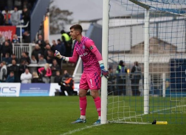 Random Dale Player of the Day tweet media