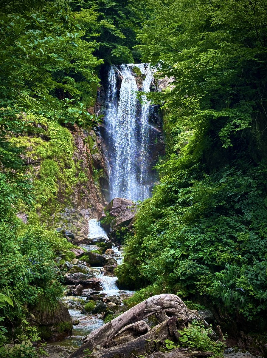 我ながらにうつくぴー写真だ