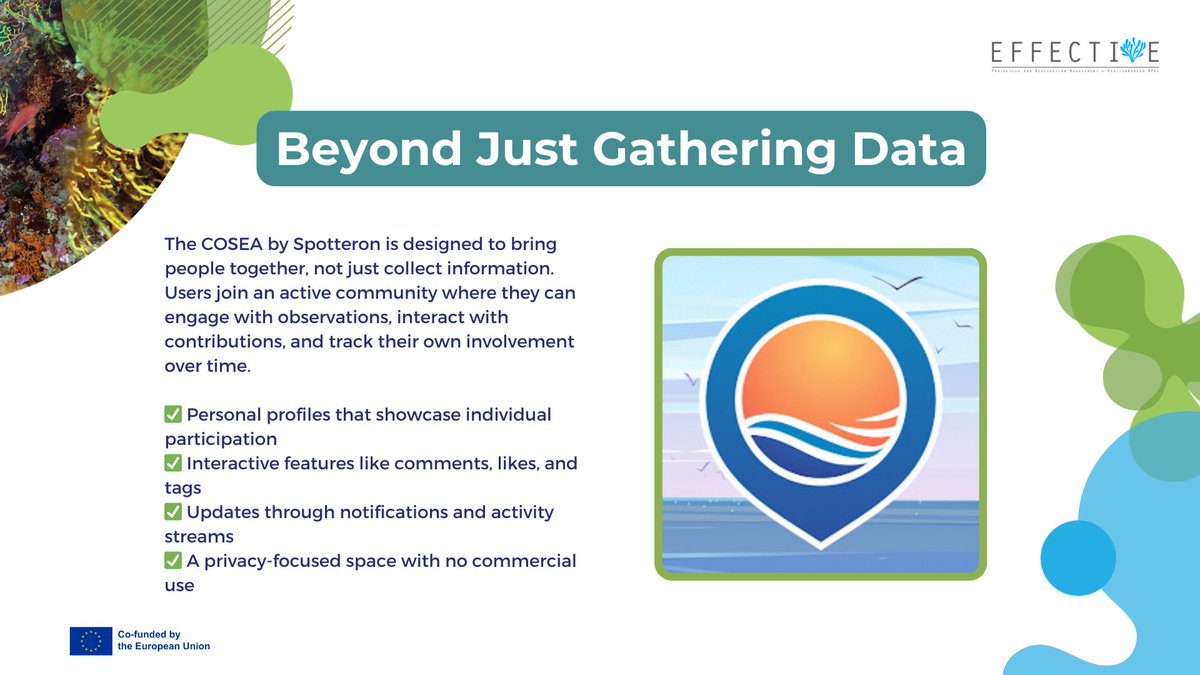 EFFECTIVE-Project tweet media