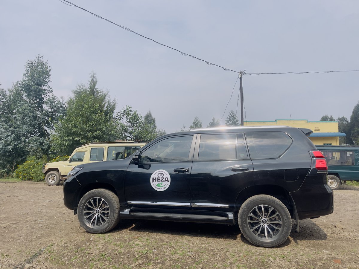 HezaTour's tweet photo. Unlock the extraordinary with @heza_country_tours, where every mile is a memory & every destination is a story waiting to be told. #visitrwanda 🇷🇼
Join us on a journey beyond the ordinary experience, #trekking #goldenmonkey #trekinglovers #letsgo
📞 @250 788 378 961 https://t.co/ucjcOHEAJR