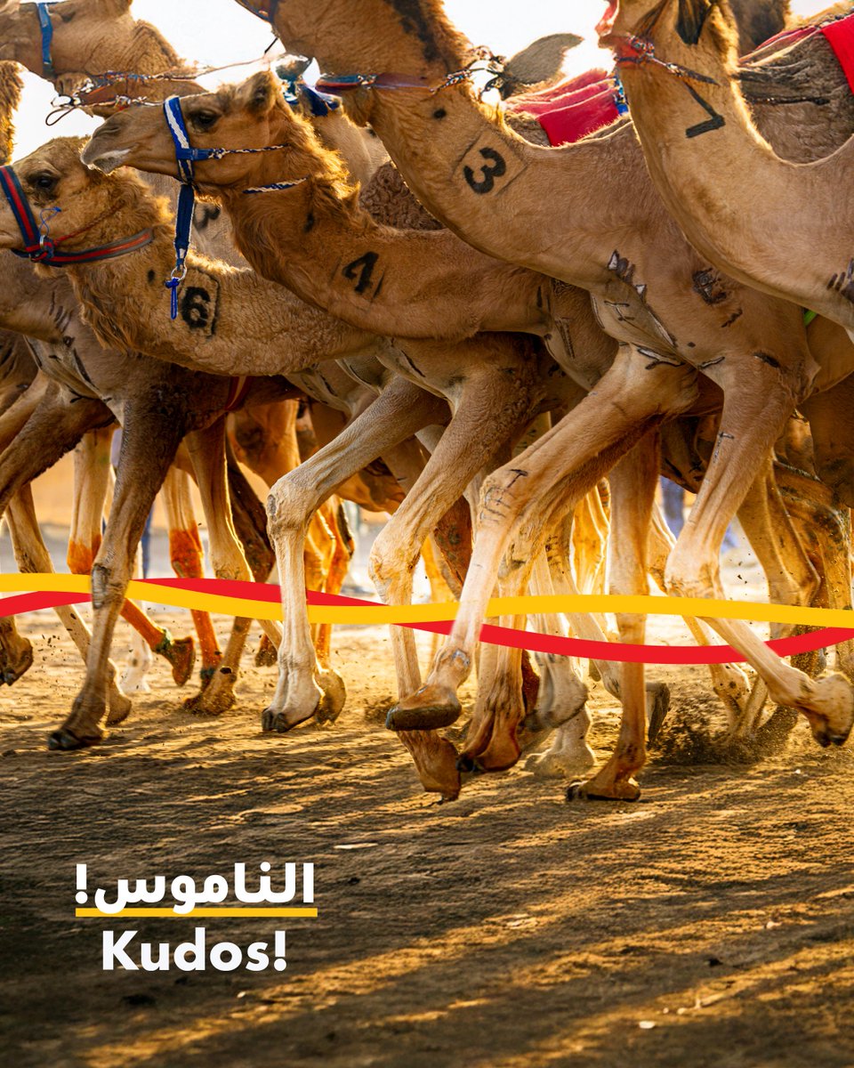 Oman Shell tweet media