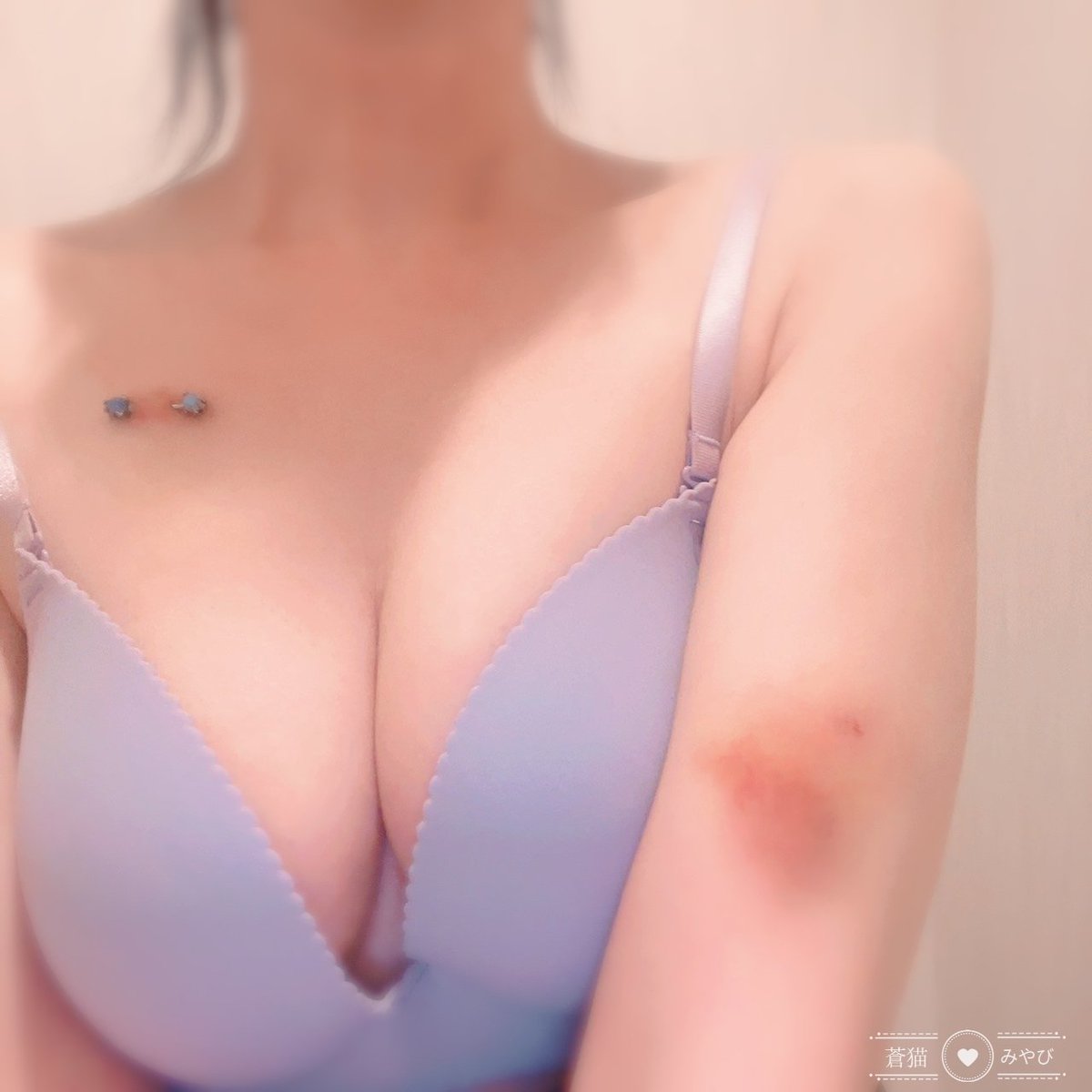 蒼猫2nd tweet media