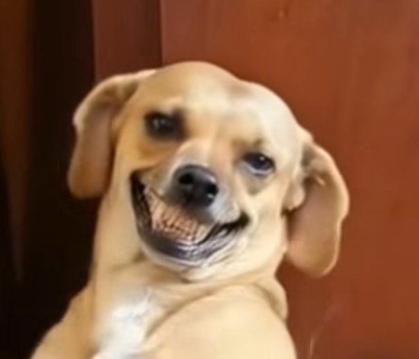 caidux's tweet image. fiz um abdominal e tive teto preto… pergunta se senti isso bebendo 2 beats de café da manha?????