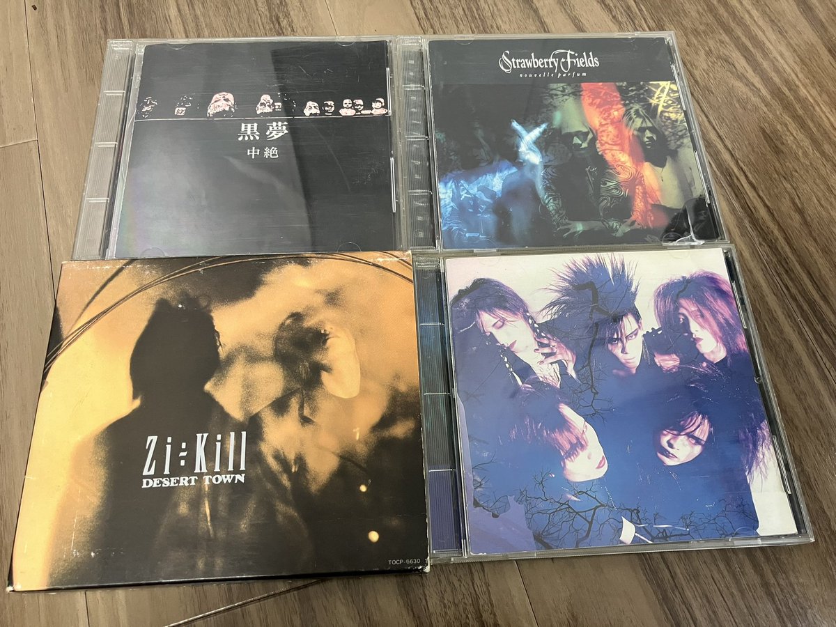 ビジュアル系は山ほど聴いてきたけど、主なバンドはこちらです。 (BUCK