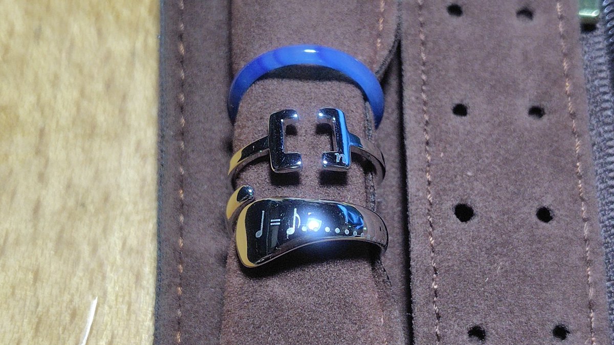 迷った末に両方買っていました。