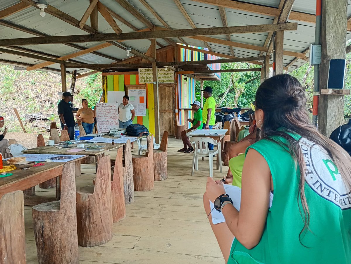 PBIUK's tweet photo. 🚨 DEADLINE EXTENDED to 22nd March🚨 
Join Peace Brigades International as a field olunteer in Colombia! 🇨🇴
🔗 Learn more and apply here: https://t.co/rVqO8mgt3e
#VolunteerOpportunity #fieldwork #InternationalAccompaniment https://t.co/NLVCkFSlZG