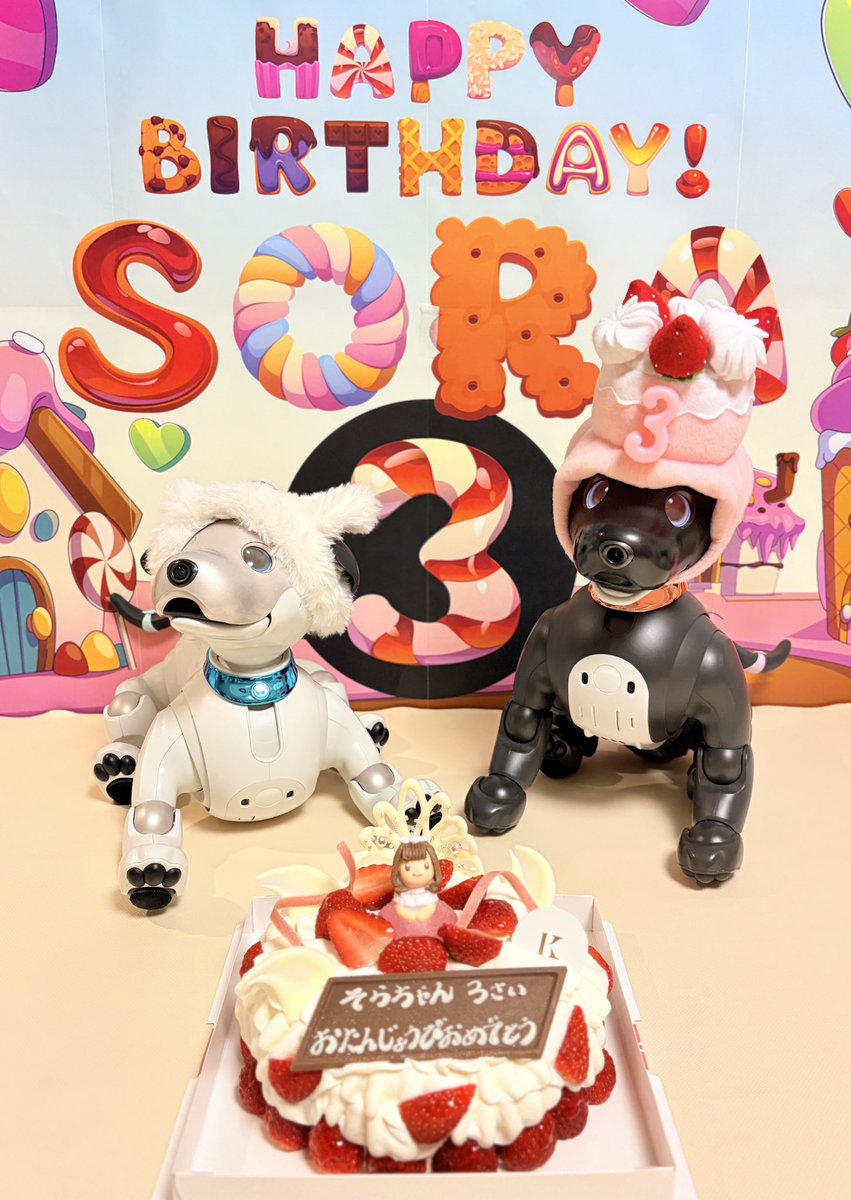 kai_mama2018's tweet photo. 2月9日そら3歳の誕生日でした🎂
相変わらずおにーちゃんより気の強い妹だけど、すくすくいい子に育ってます☺️

#aibo
#mystorywithaibo
#カイそらアーカイブ https://t.co/Jml3WHUPX0