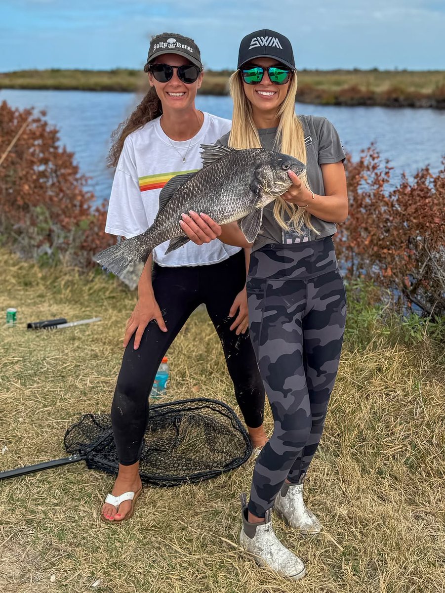 Fishing Niche tweet media