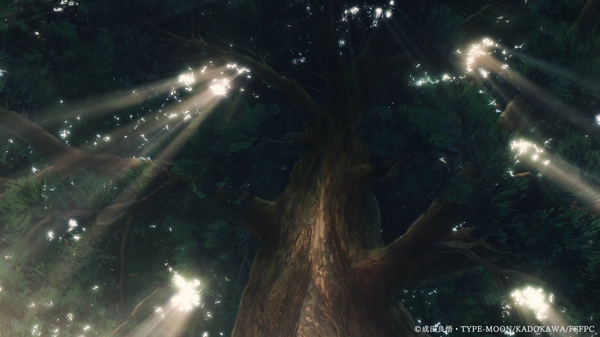 Snowfield Daily tweet media