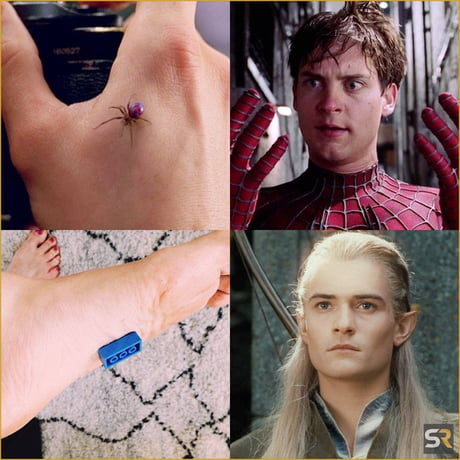 Lord of the Rings Daily (@lotr_daily_) on Twitter photo 