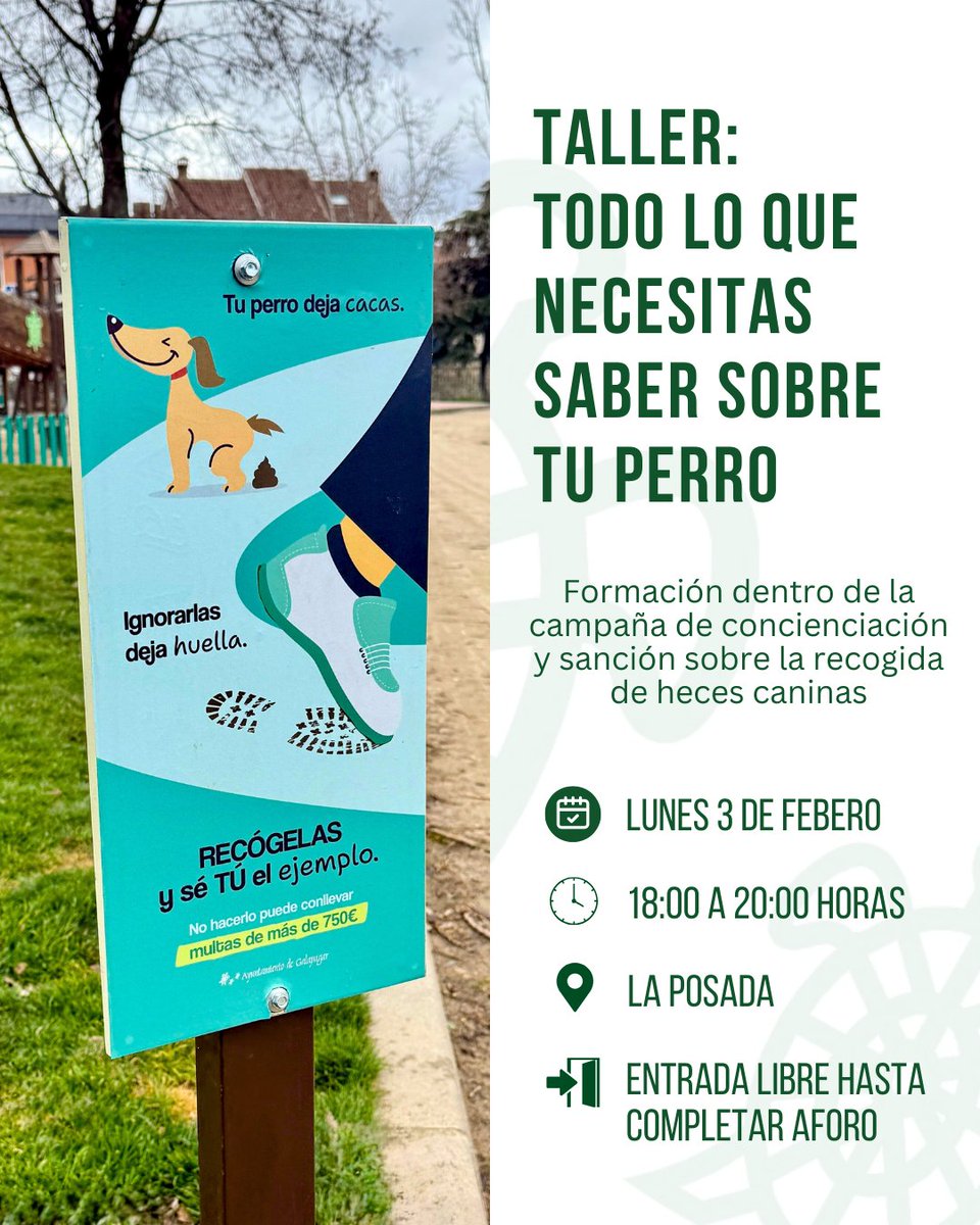 AytoGalapagar's tweet image. 🐾En el marco de nuestra nueva campaña para fomentar la recogida de excrementos caninos acogeremos la formación “Todo lo que necesitas saber sobre tu #perro”, dirigido a titulares de perros para fomentar la #convivencia y #tenenciaresponsable 🐶

#Galapagar #ToleranciaCero