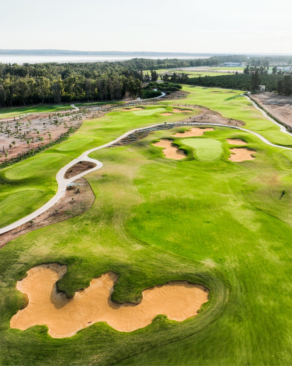 Golf Course Architecture tweet media