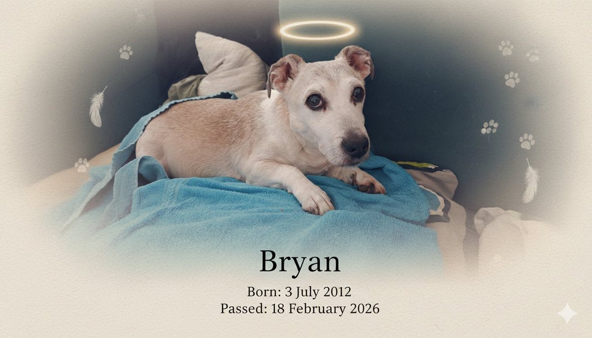 Edward Castor tweet media