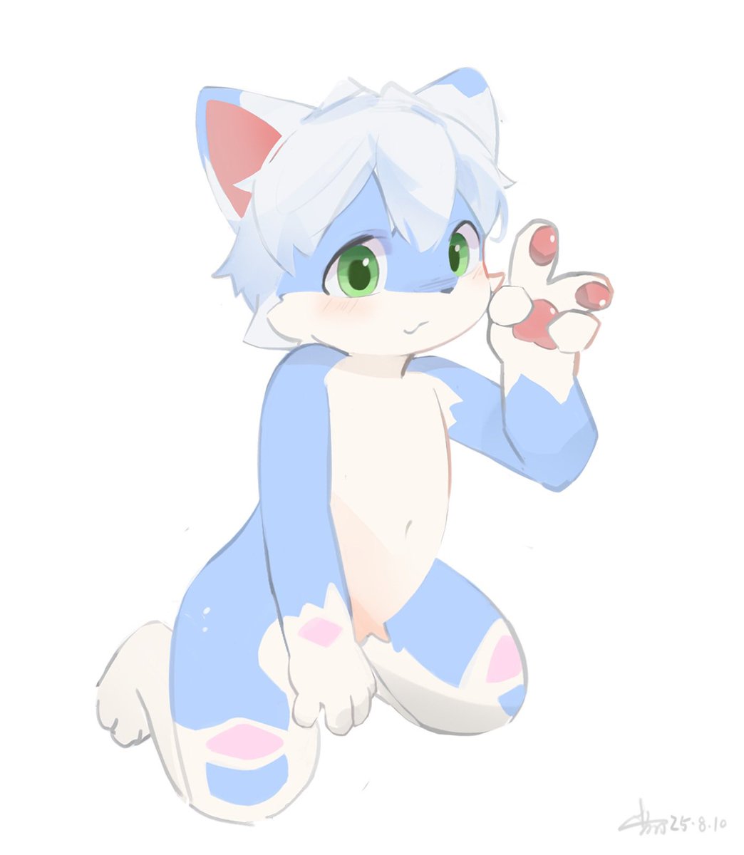 Tico·Willy tweet media