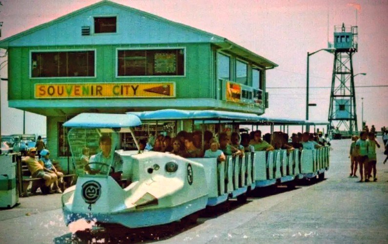 🎠 All Things OC 🎠 tweet media