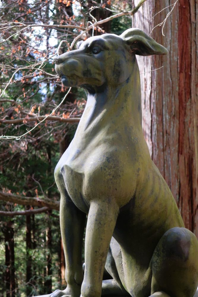 三峯神社 拝殿 青銅鳥居⛩️ 狼信仰でございます🐺 #ニホンオオカミ #狼像