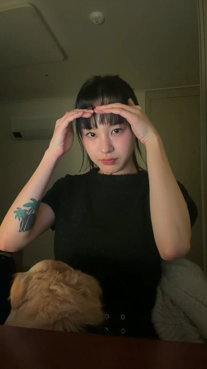 데자뷰