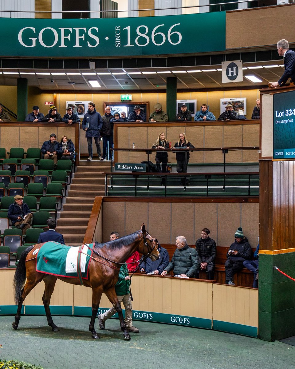 Aga Khan Studs tweet media