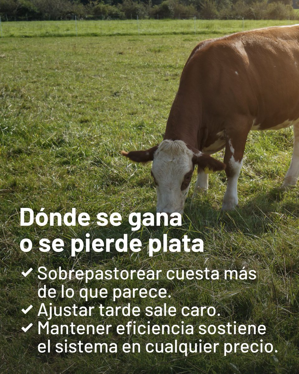 Progan - Productores Ganaderos del Uruguay tweet media