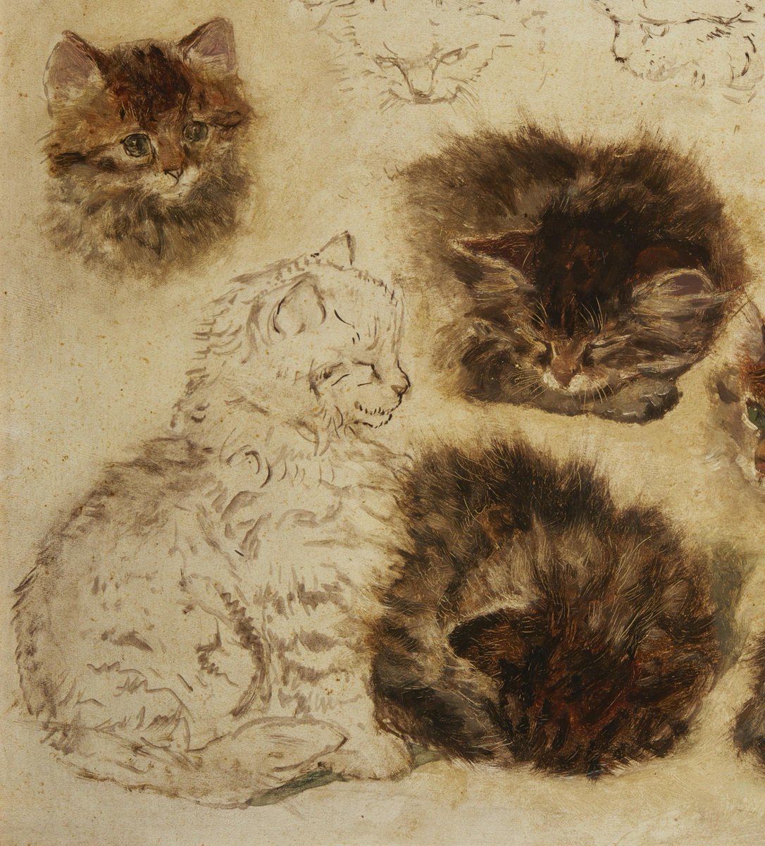 GodsWhisper777's tweet photo. Henriëtte Ronner-Knip (Dutch–Belgian, 1821–1909), "Study of Eleven Cats" (details), 1904 https://t.co/hHpe5Hh5bI