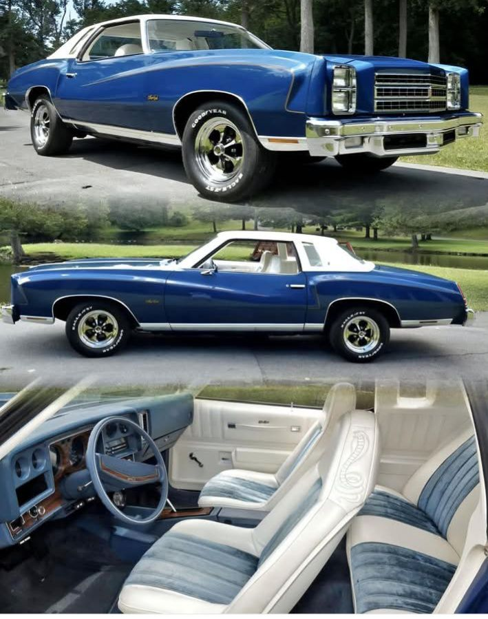 🏁 𝔹 ℝ 𝕀 𝔸 ℕ 🏁 tweet media