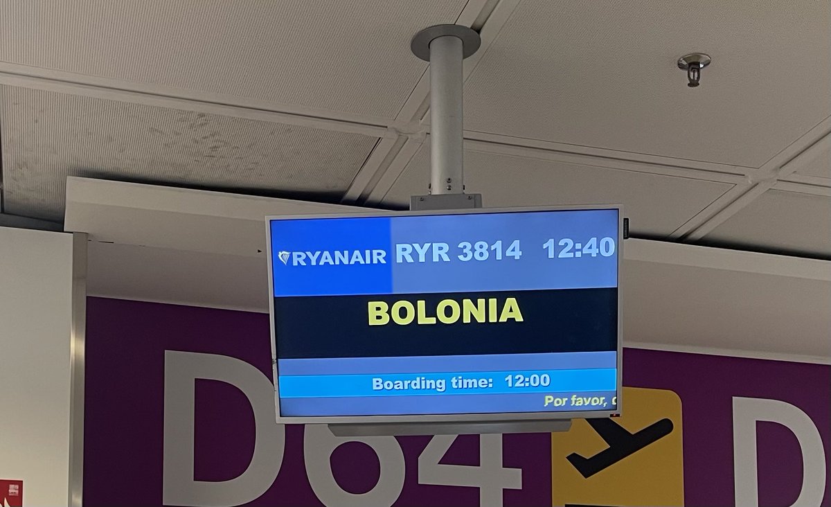 miceliongames tweet media