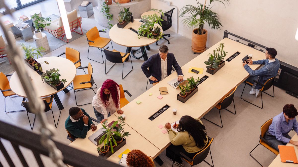 La French Tech recrute (encore). 🚀

Malgré une année 2024 marquée par des tensions, certaines startups françaises ont fortement accéléré en 2025.

Le classement complet et les secteurs qui embauchent. 👇
hellowork.com/fr-fr/medias/r…

#frenchtech #startup #emploi #recrutement #ia