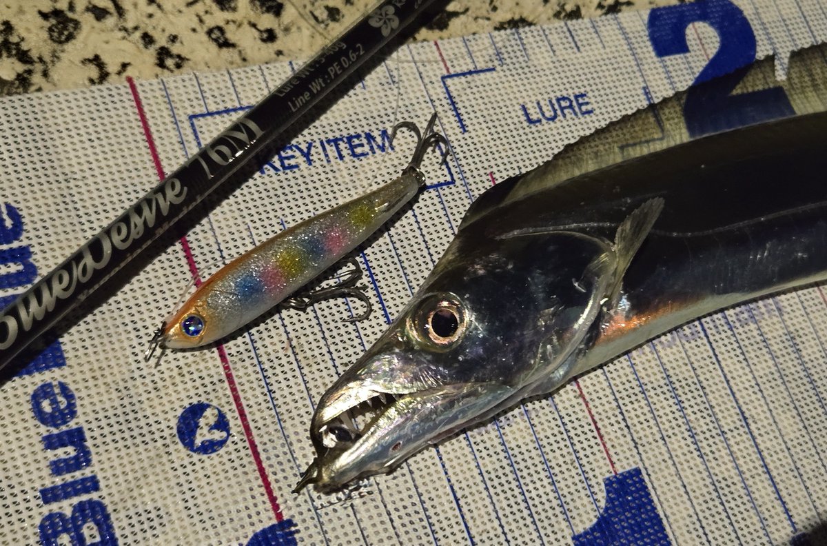 BlueBlue（ブルーブルー） (@BlueBlueFishing) / Posts / X