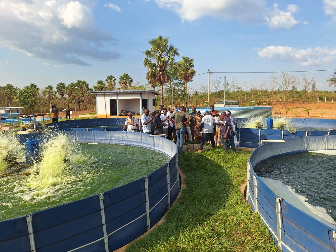 FAOCotedIvoire's tweet photo. #FISH4ACP : 25 points focaux « aliment »  de coopératives en formation du 16 au 20 février 2026 sur :  
👉l’impact de l’alimentation sur la qualité de l’eau et les maladies associées 
👉le calcul des rations alimentaires 
@UEenCI 
@EU_Partnerships 
@PressACP 
@BMZ_Bund https://t.co/MHjtsajDUA