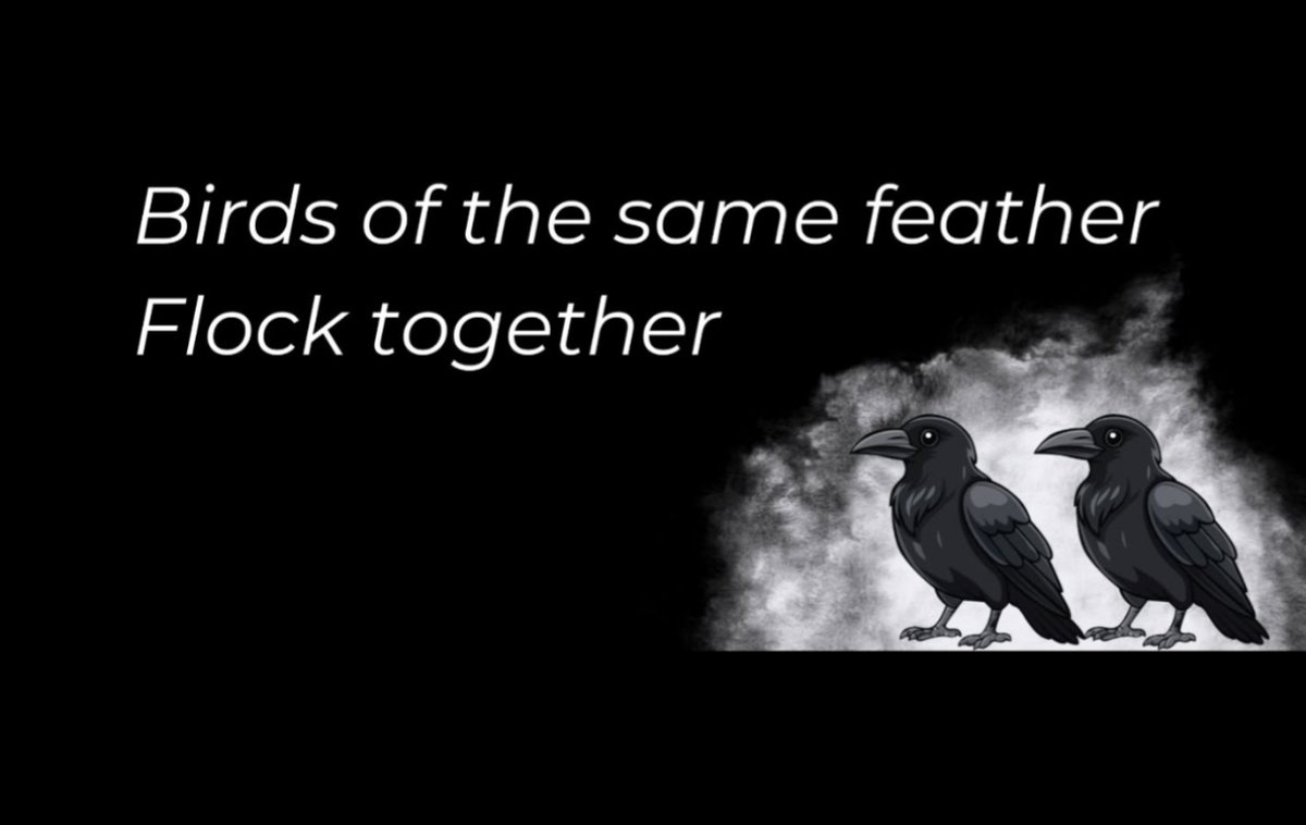 Venky_Talks's tweet photo. Just posted a new thought! 🐦 "Birds of the same feather flock together."  #Community #MyTribe https://t.co/iVUhryak0H