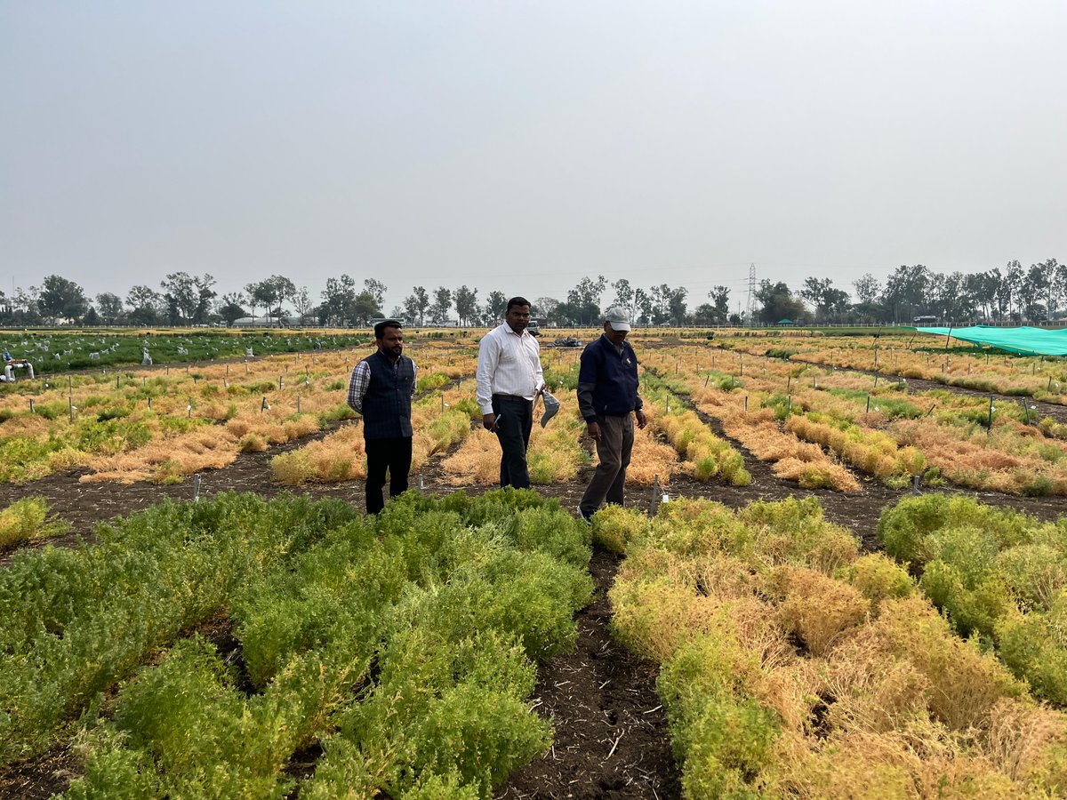 Ashutosh Kumar Yadav tweet media