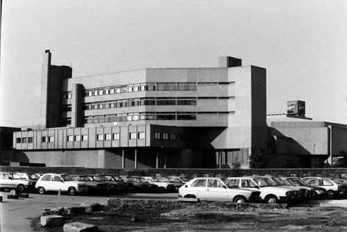 Joshi Herrmann tweet media