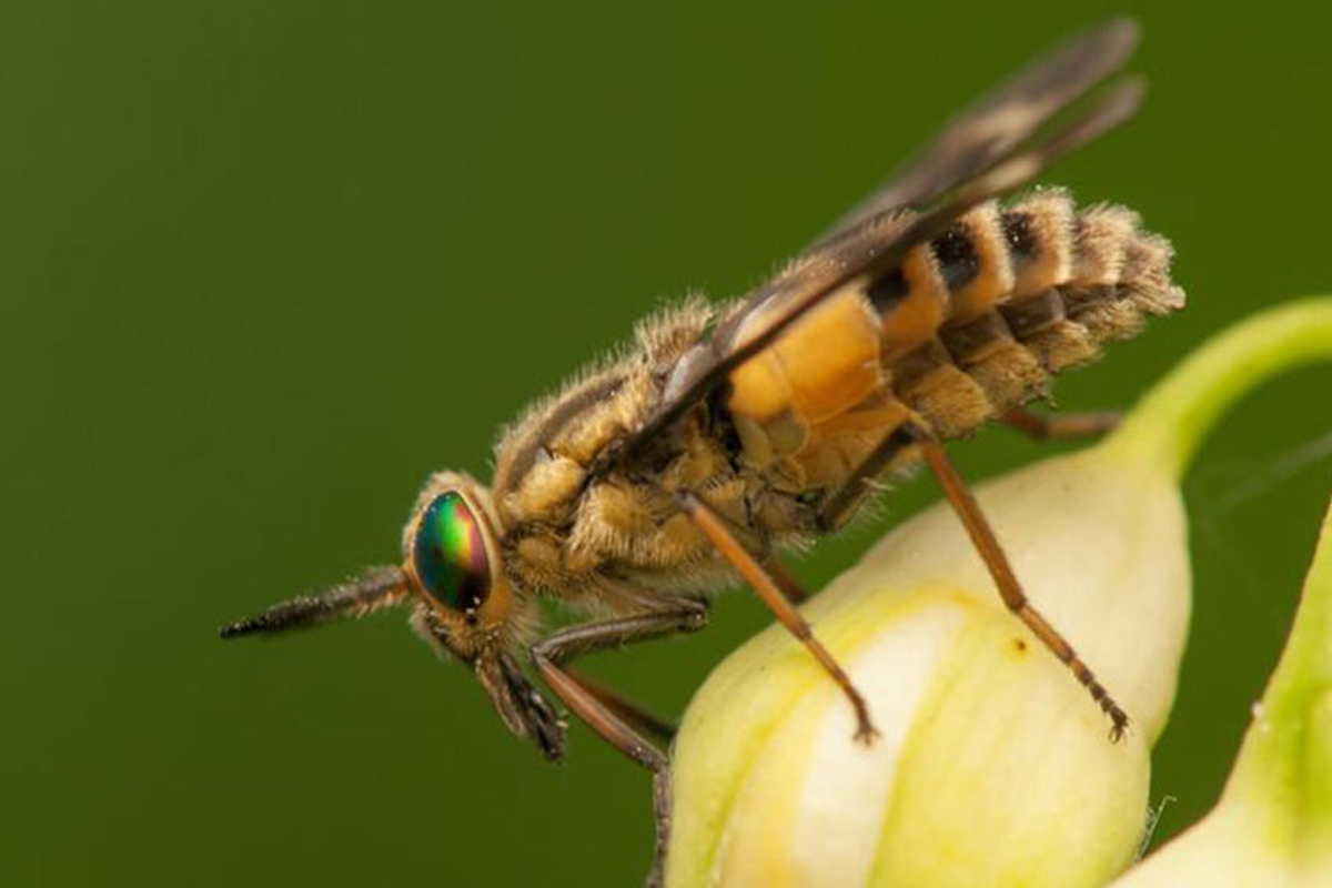 Peuteren.nl tweet media