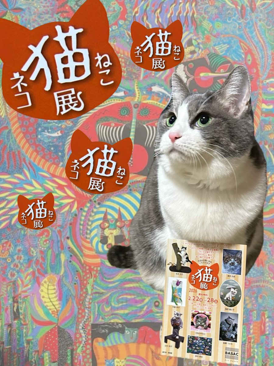 猫六堂＊鈴木信也 (@nekorokudou) / Posts / X