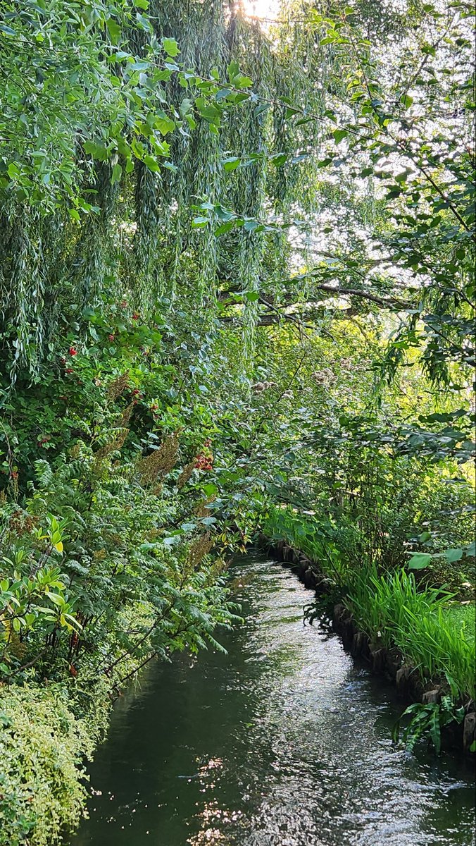 dungji164981's tweet image. 화장품 브랜드 중에 지베르니가 프랑스에 있는 마을 이름인거 아는사람?

프랑스 여행 갔을 때 갔는데 난 여길 정말 좋아함..
화가 모네의 생가로 유명한 곳인데 브랜드 명을 여기에서 영감 받았대
직접 가보면 진짜 내가 명화 속에 들어 와있는 기분이야
구경 한번 하고 마을 마들렌 맛집이랑 잠봉