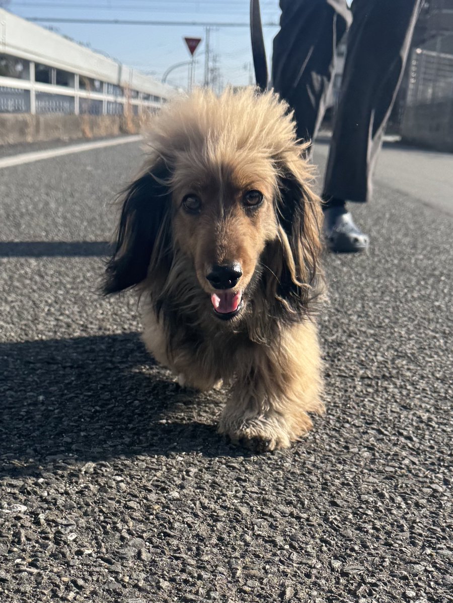 おこげ(大爆発) (@okoge0822) / Posts and Replies / X