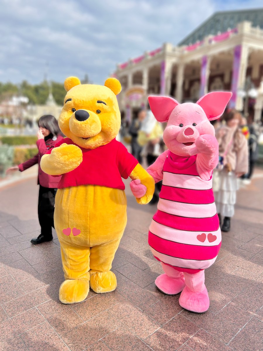 ピグレット🐷 (@pigletniaitai) / Posts / X