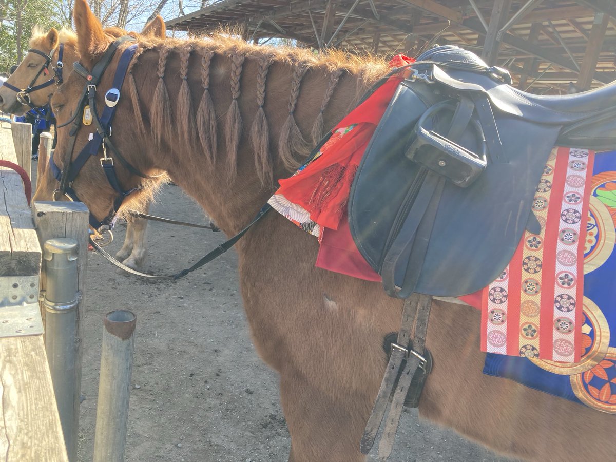今日はスタッフ側〜🐴