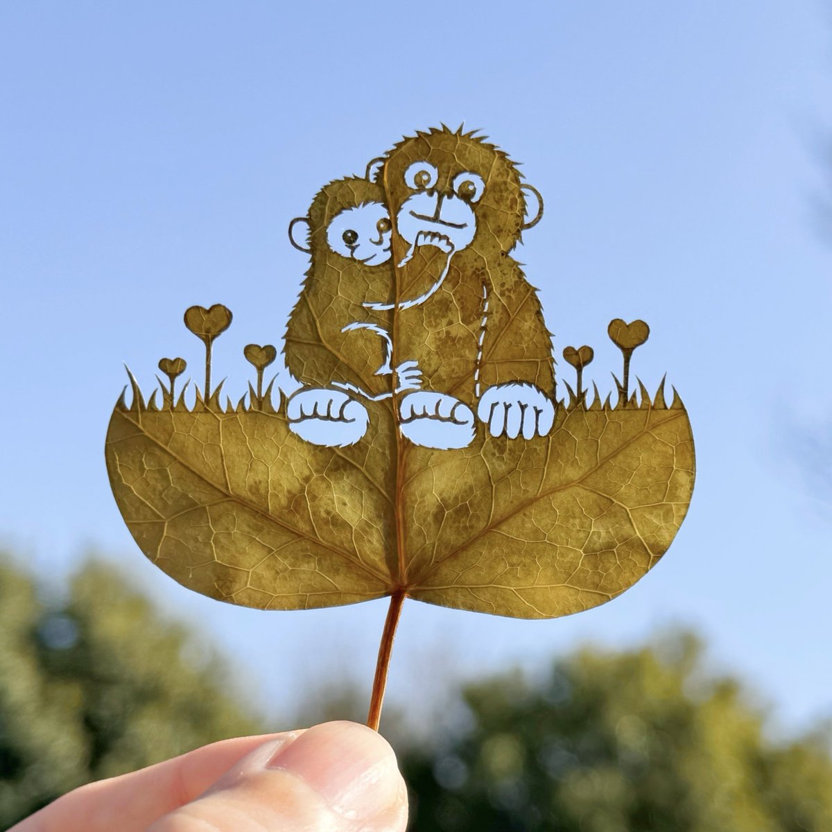 ｢がんばれパンチ｣

#市川市動植物園