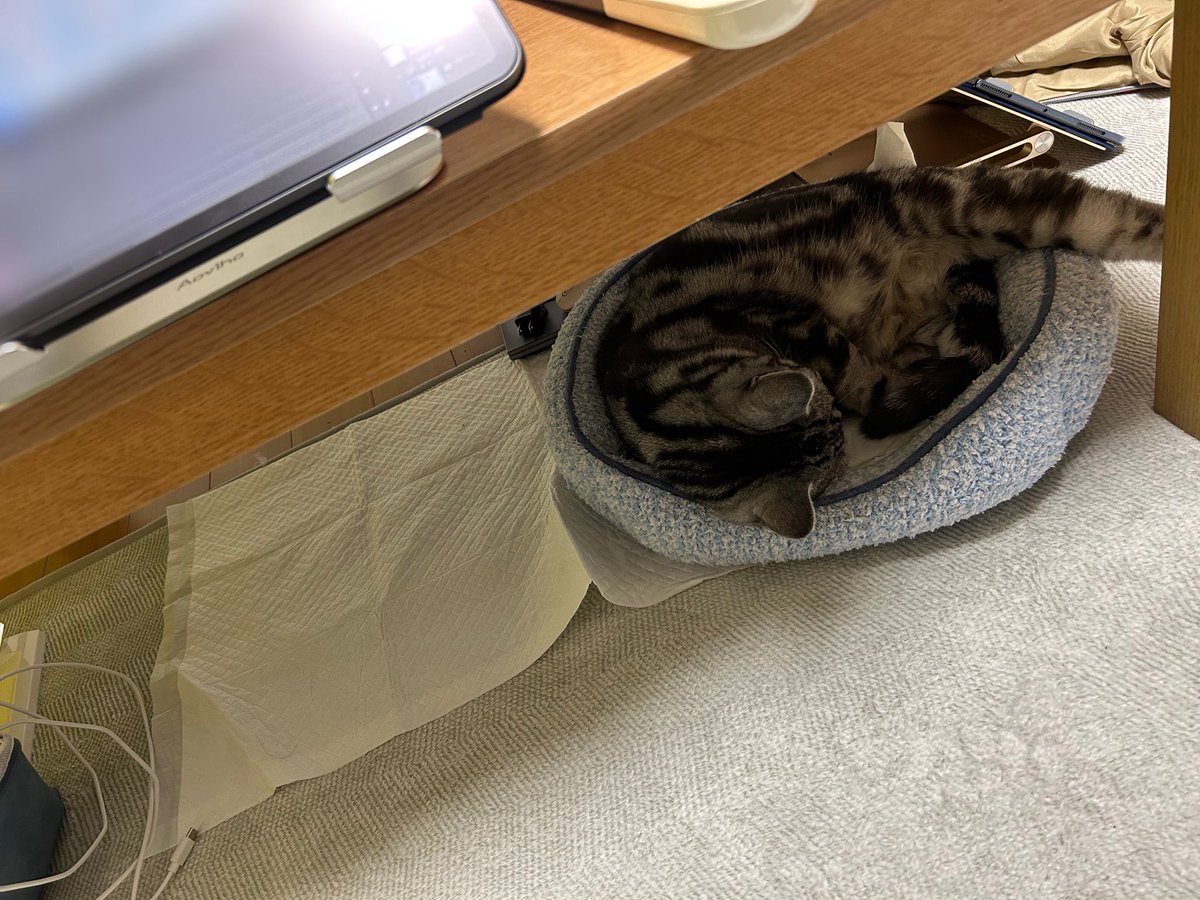 今日も付き添いながら仕事