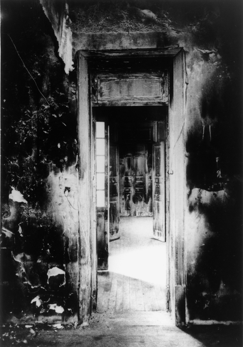 A/POLITICAL tweet media